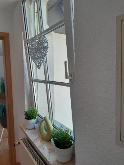 Ferienwohnung Salzmannhaus Zschopau Екстериор снимка